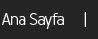 Ana Sayfa
